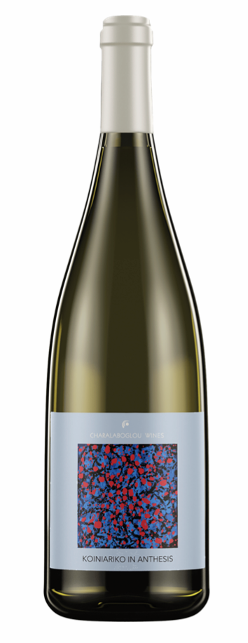 Charalaboglou Wines, Koiniariko in Anthesis