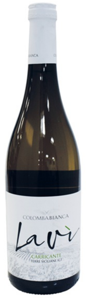 Colomba Bianca, Lavi Carricante 2023